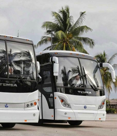 Temsa Minibus