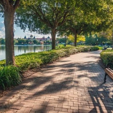 Disney World Bus Charter